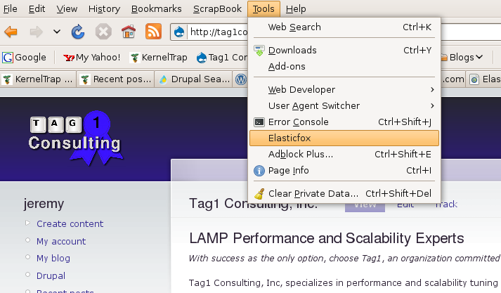 Screenshot of Firefox browser showing Elasticfox extension in the Tools menu after installation.