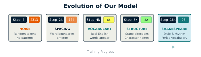 A diagram showing training progression from Step 0 to Step 16k, with perplexity badges color-coded.