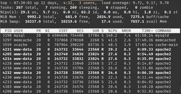 apache server top