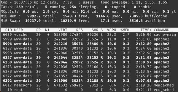 FastHttp Locust network