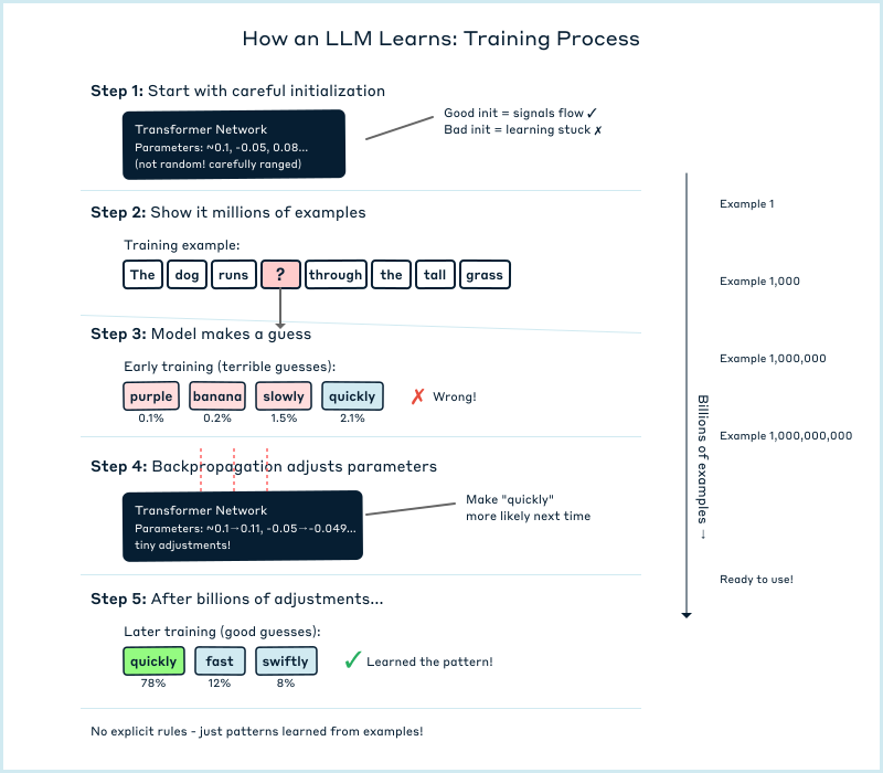 Diagram that explains how llms learn.