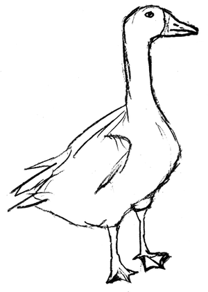 This Is A Goose
