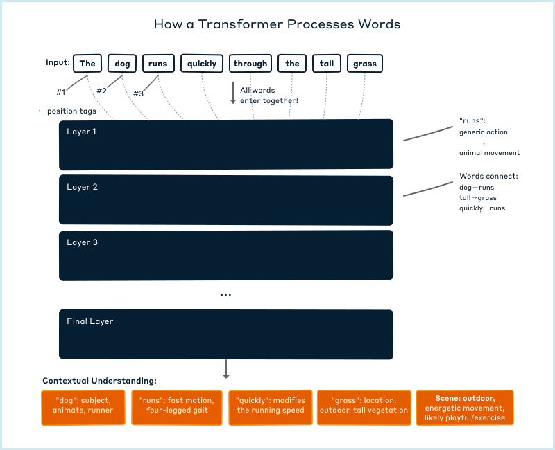 Diagram that explains how a transformer processes words.