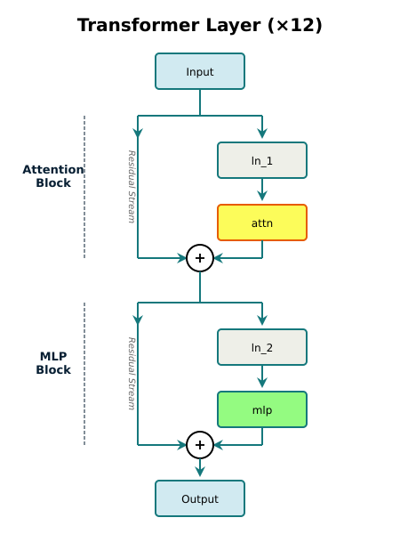 The digagram visualizes the “Residual Connection” (the bypass line), explaining why gradients flow easily during training and serving as the direct blueprint for the Rust code implementation.