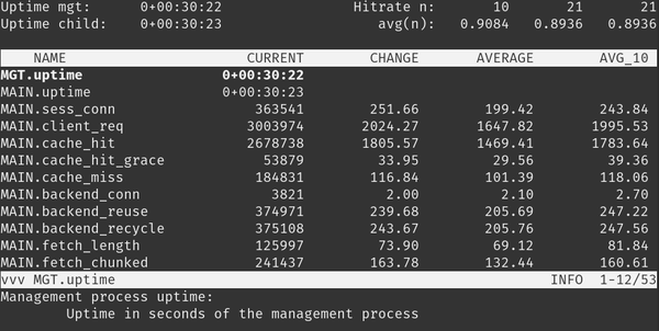 apache server varnishstat