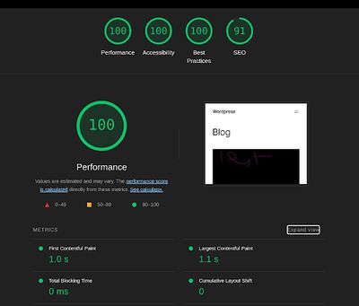 WordPress Mobile